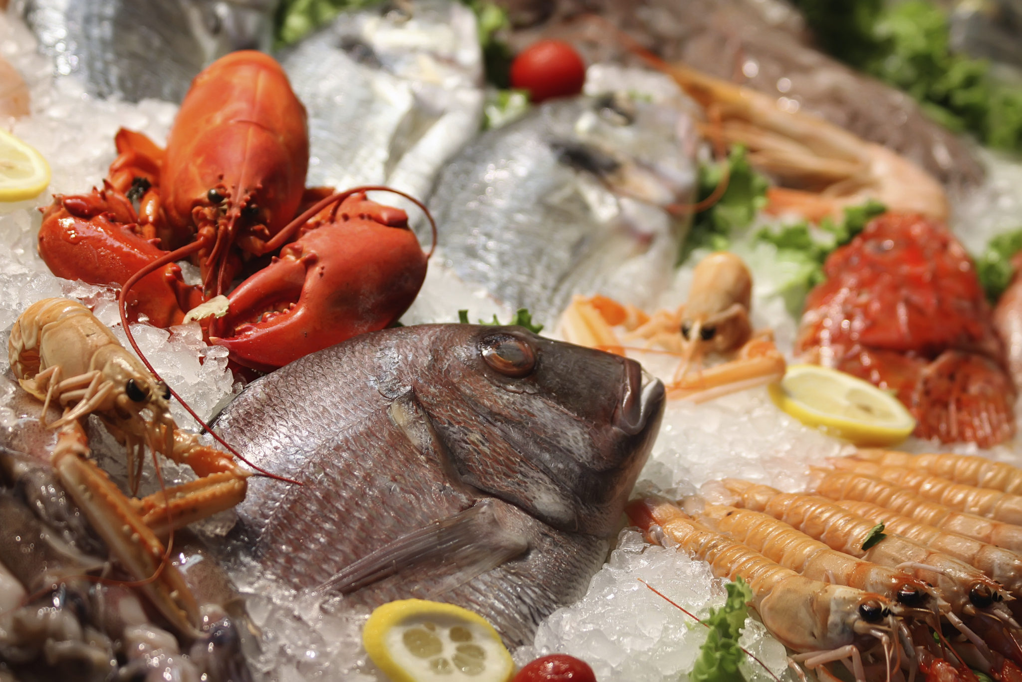 Pesce e Frutti di Mare
