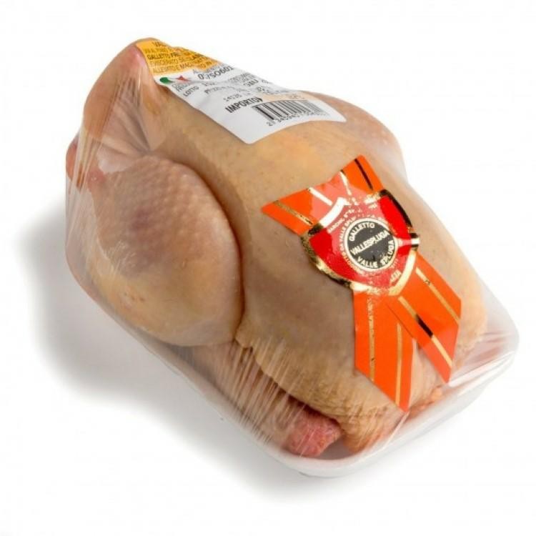 GALLETTO VALLESPLUGA