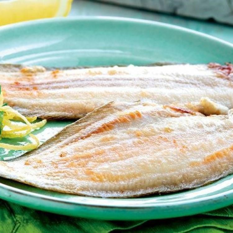 SOGLIOLE ATLANTICHE MEDIE