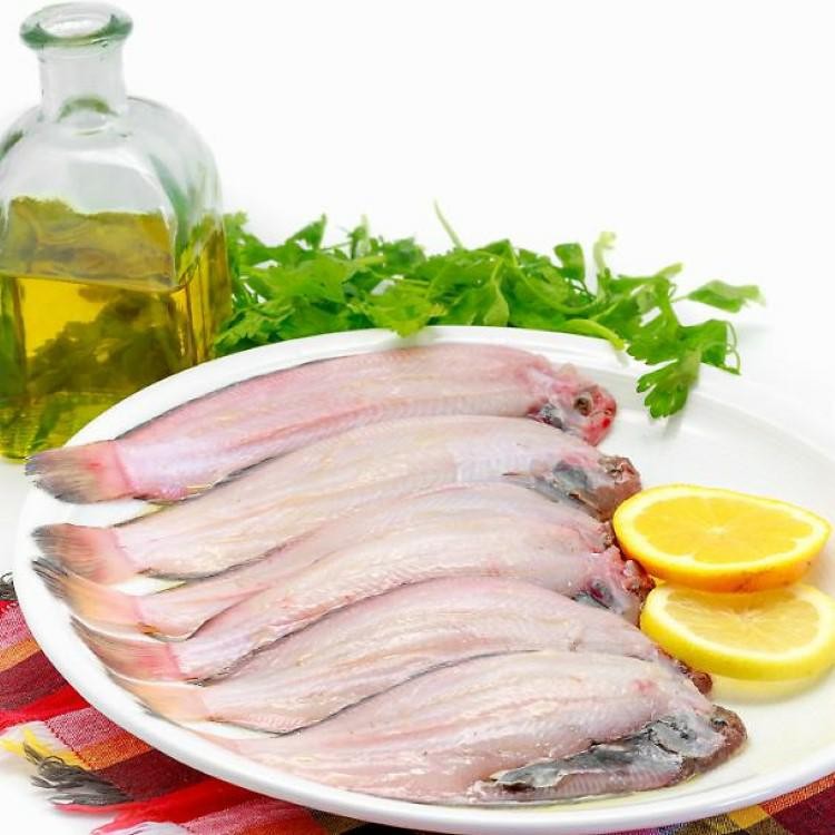 SOGLIOLE DOVER PICCOLE N .5