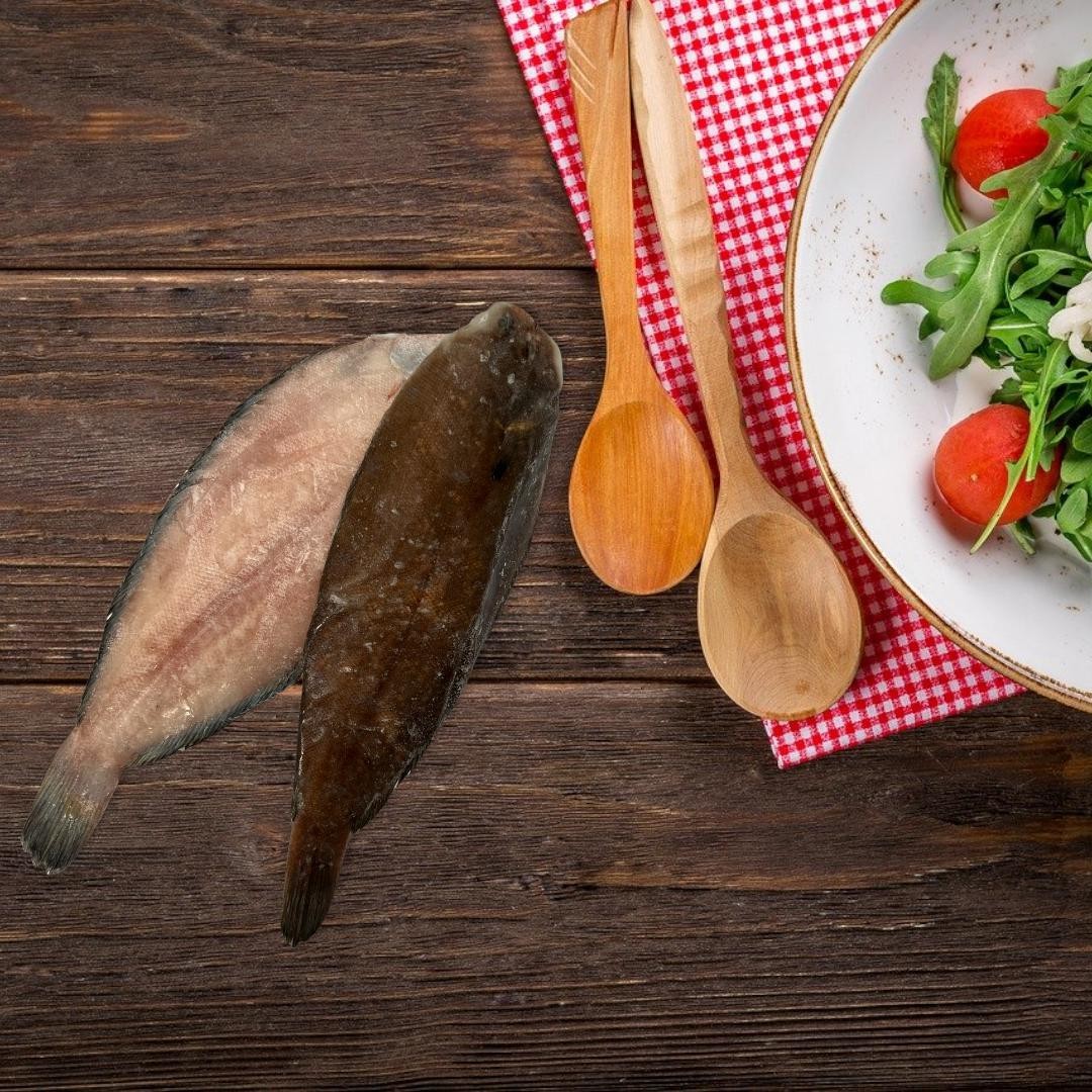 SOGLIOLE ATLANTICHE GRANDI