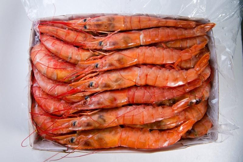 GAMBERONI SCATOLA (AL PZ )