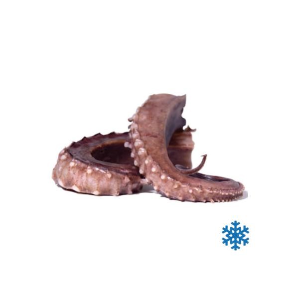 TENTACOLI DI TOTANO GIGANTE