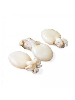 SEPPIA PULITA 20/40 800g 