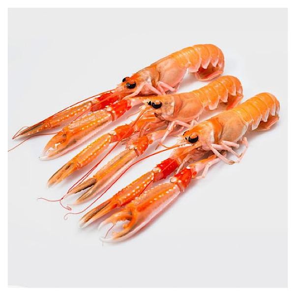 SCAMPI 21/30 375g                             FASTNET