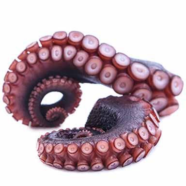 POLPI TAGLIATI SENEGAL 1 Kg ITALGEL