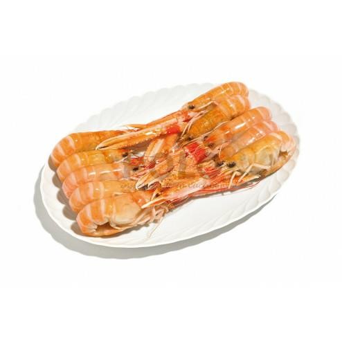 SCAMPI 8/12 500g 